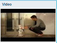 video NAO